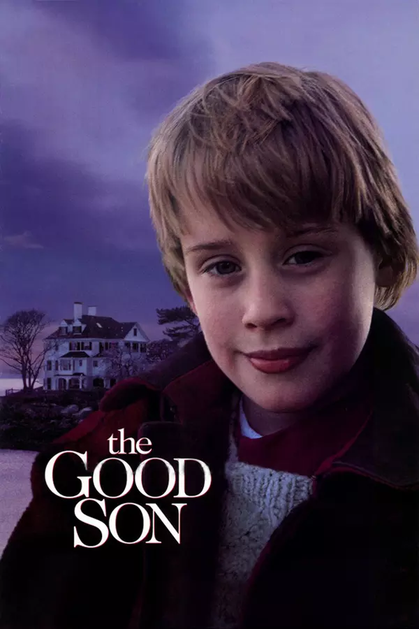 Poster for The Good Son