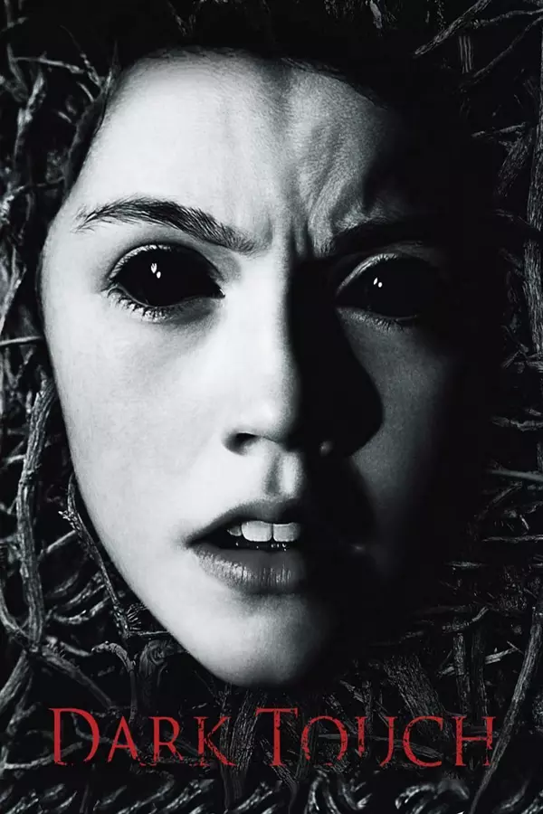 Poster for Dark Touch