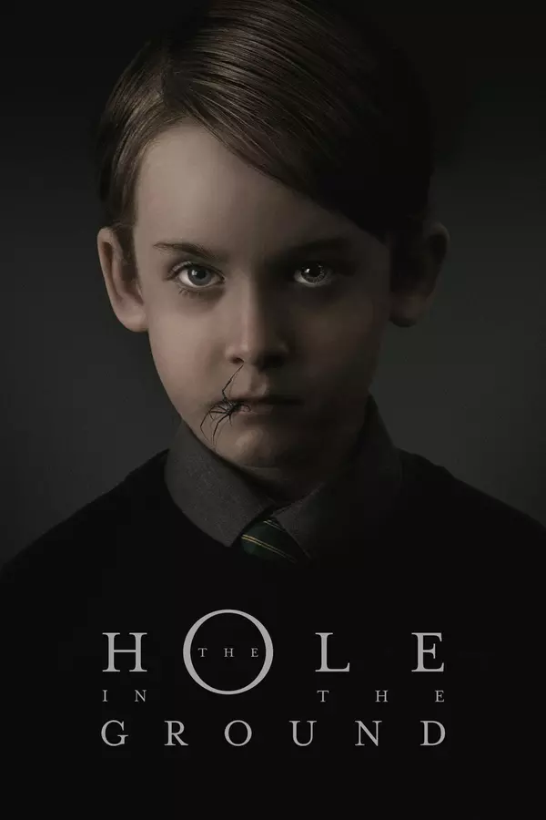 Poster for The Hole in the Ground