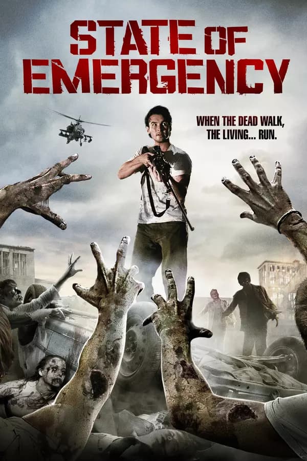 Poster for State of Emergency